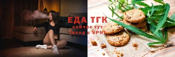 стафф Россошь