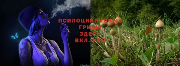 марки lsd Ростов